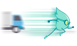 Envío Express